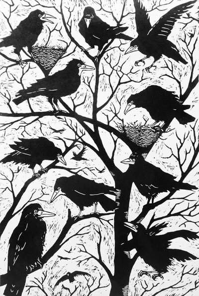 Rooks, 1998 by Nat Morley